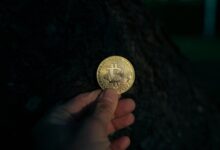 crypto halving news updates