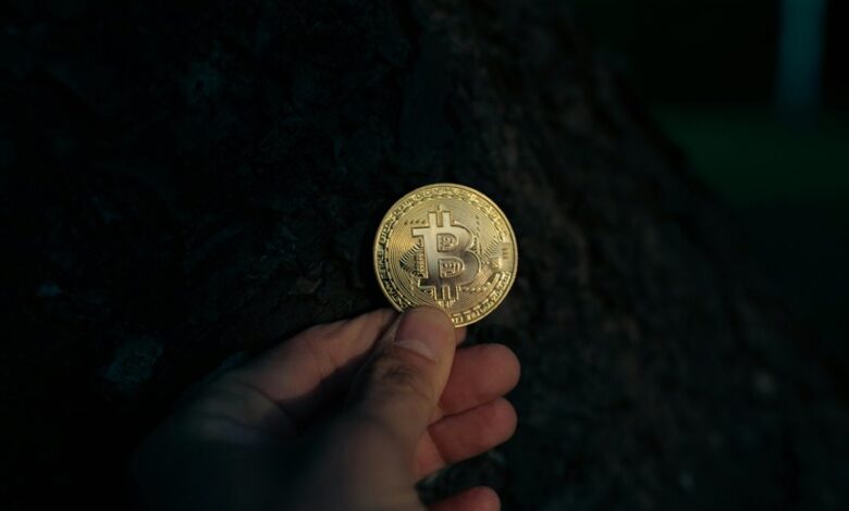 crypto halving news updates