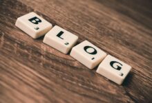 barapk org website offerings explored