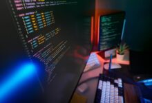 registered business support numbers