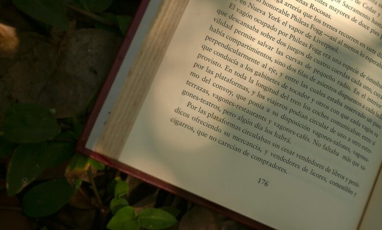 business insights and numbers