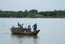 global business growth numbers