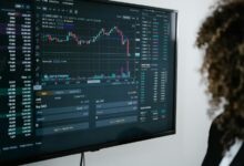 market navigator identification numbers