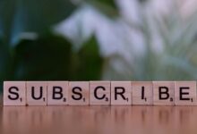 elevate your online marketing