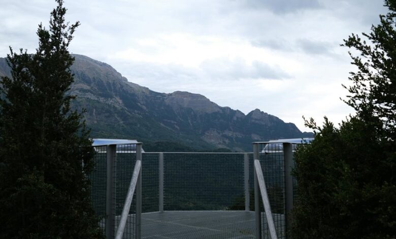 elevate your online services