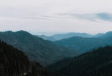 digital tools for growth