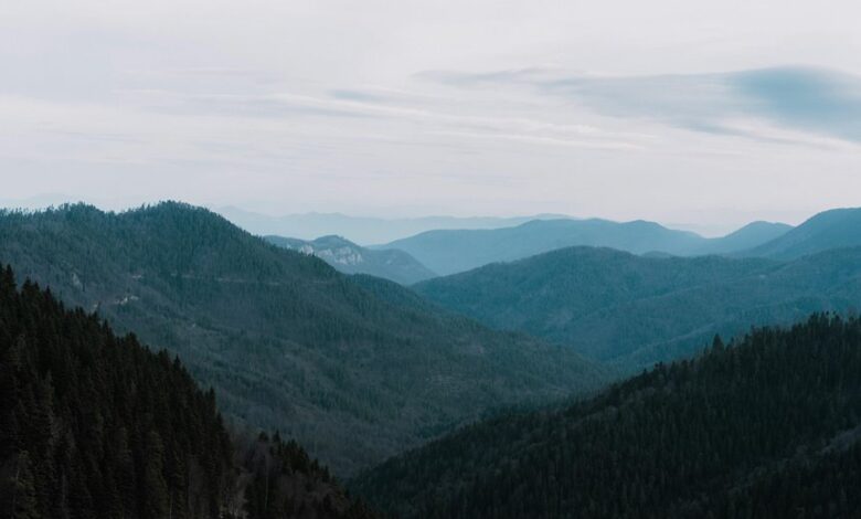 digital tools for growth